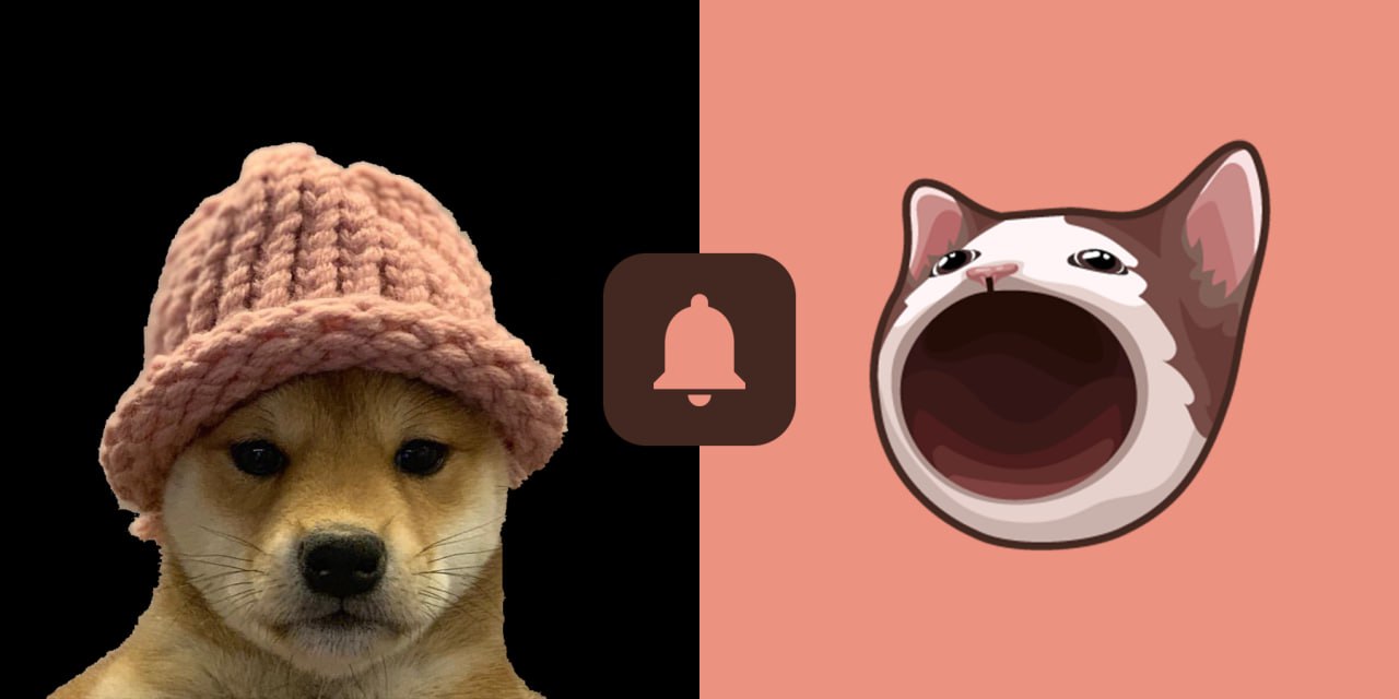 WTF is happening to WIF and POPCAT? - Cryptonary