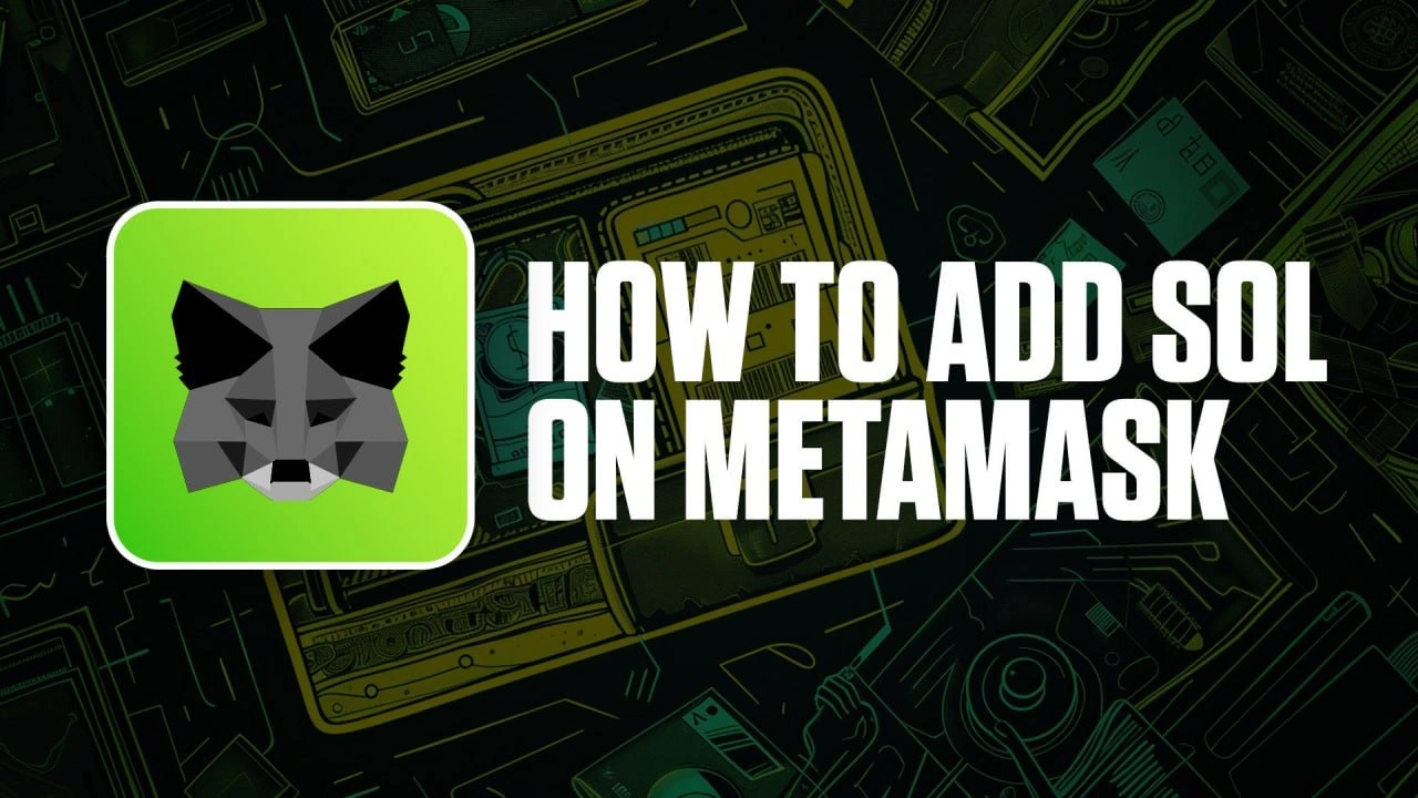How to Add Solana to Metamask | Cryptonary