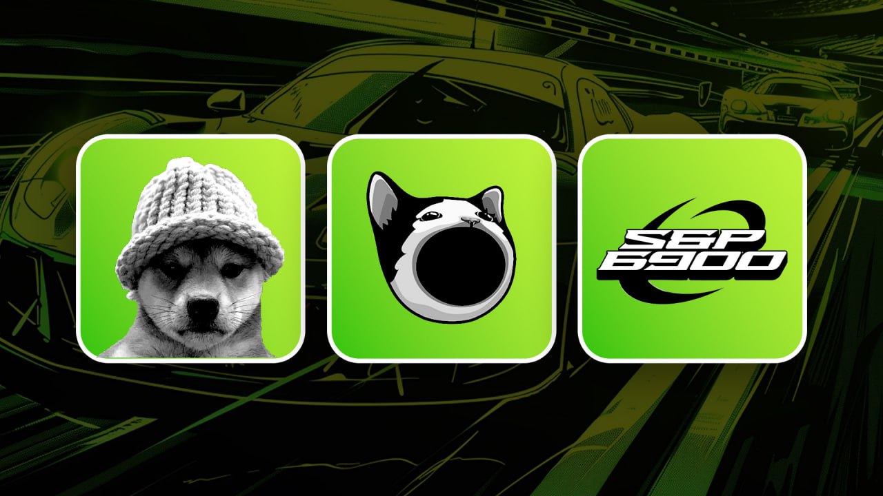 Battle of Memes: Analysing the strongest cults - Cryptonary