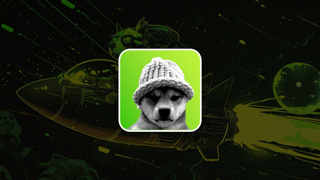 The dog has a hat: Can WIF flip DOGE and SOL? - Cryptonary