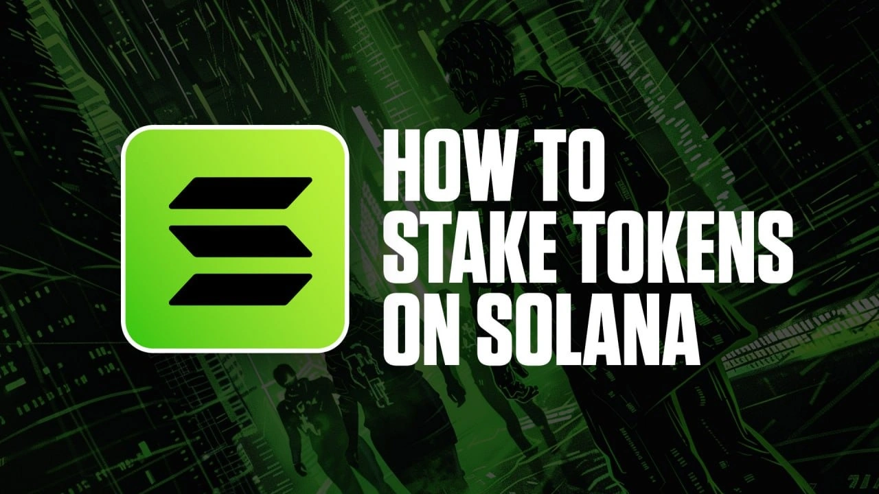 How to stake tokens on Solana | Cryptonary